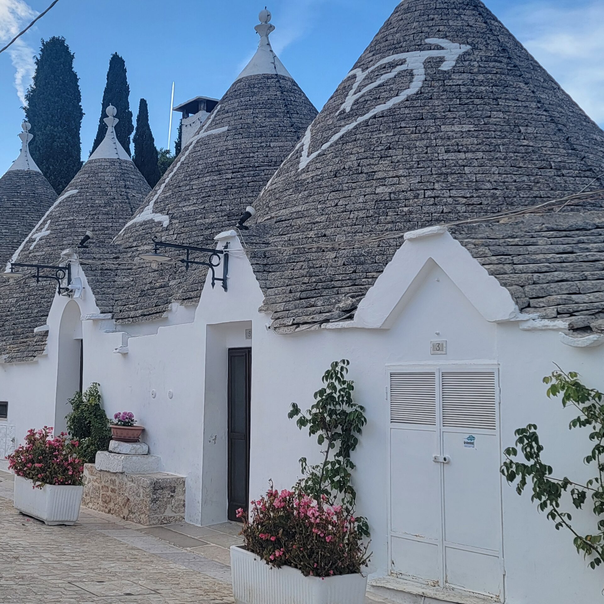 Italian 202 - Biweekly